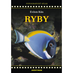 Ryby