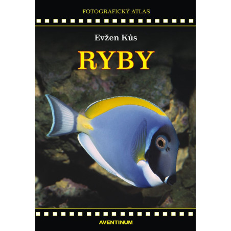 Ryby